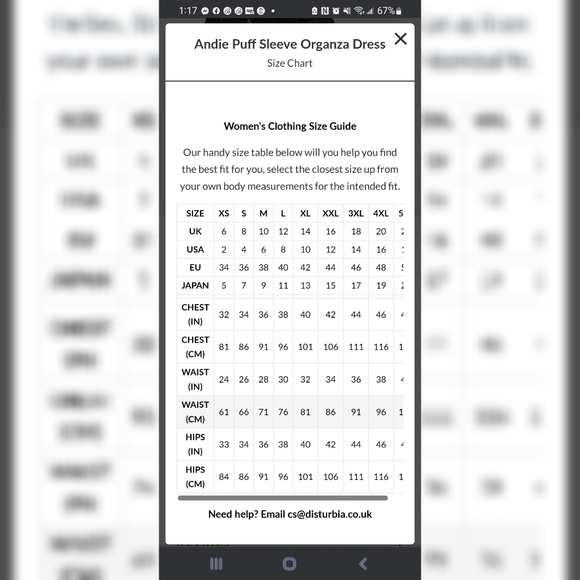 Andie Puff Sleeve Organza Dress - Picture 9 of 9